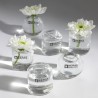Set of 6 mini Vases Soliflores Serax