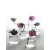 6 Mini Vases Soliflores Verre Transparent Serax