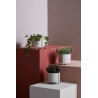 Pidestall Flowerpot Small Grey Diam 15 x H 15 cm Woud