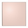 Quadro Mirror Rose Square 90 X 90 cm AYTM