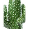 Cactus Vase Medium Green Porcelain H 29 cm Serax