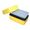 Bento Box Rectangle Jaune L 165 x l 108 x h 90 mm Takenaka