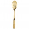 Spoon Golden House Doctor