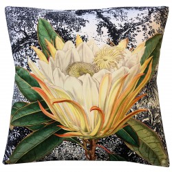 Coussin Velours Yellow Protea 50 x 50 cm Vanilla Fly