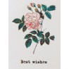 Carte Best Wishes 9 x 13 cm Vanilla Fly