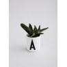 Cup Blanche Alphabet A-Z Design Letters