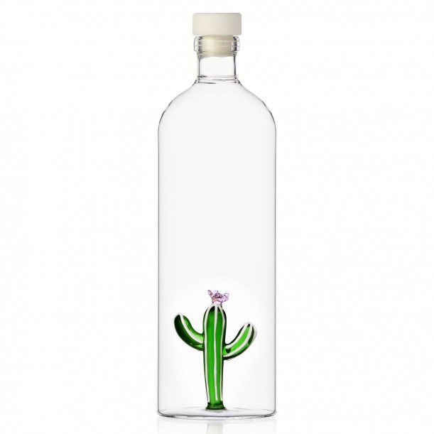 Bottle Cactus