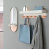 Wall-mounted Coat Rack with Shelf