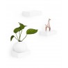 Lot de 3 Etagères Invisibles Showcase