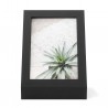 10x15cm Photo Wall Frame