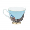 Teacup and Saucer Zebra