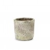 Fossile Pot XSmall