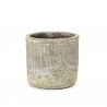 Fossile Pot Small