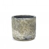 Fossile Pot Small