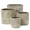 Fossile Pot Small