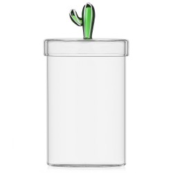 Boite Bonbonnière Cactus 19 cm