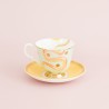 Teacup and Saucer Zebran Snake