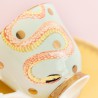 Teacup and Saucer Zebran Snake