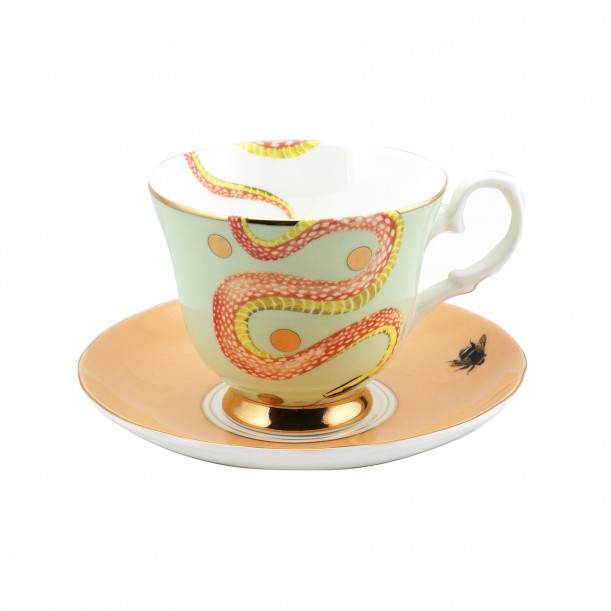 Teacup and Saucer Zebran Snake