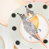 Set 4 Plates 16cm Animal Magic 2