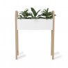 Planter Belwood