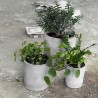 Cache-Pot Ave lot de 3