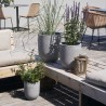 Planter Gard set of 3