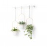 Pot suspendu Triflora lot de 3