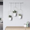 Hanging planters set of 3