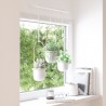 Hanging planters set of 3