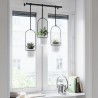 Hanging planters set of 3