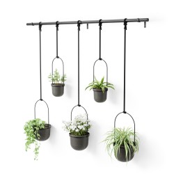 Pot suspendu Triflora lot de 5