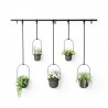 Hanging planters set of 5