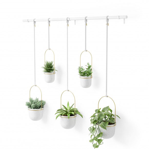 Pot suspendu Triflora lot de 5