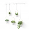 Hanging planters set of 5