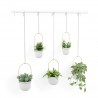 Hanging planters set of 5