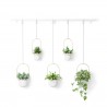 Pot suspendu Triflora lot de 5