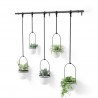 Pot suspendu Triflora lot de 5