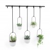 Hanging planters set of 5