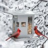 Bird feeder Bird Cafe