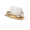 Aquala bathtub tray