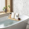 Aquala bathtub tray