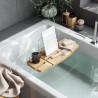 Aquala bathtub tray