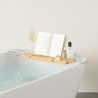 Aquala bathtub tray