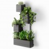 Wall Planter Cubiko