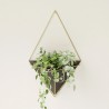 Wall Planter Trigg