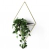 Wall Planter Trigg