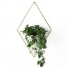 Wall Planter Trigg