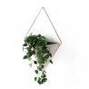 Wall Planter Trigg