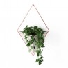 Wall Planter Trigg